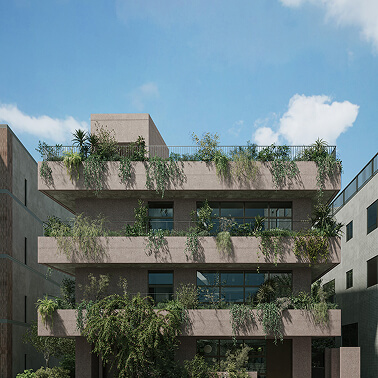 THE GRANDUO FUTAKOTAMAGAWA SEED